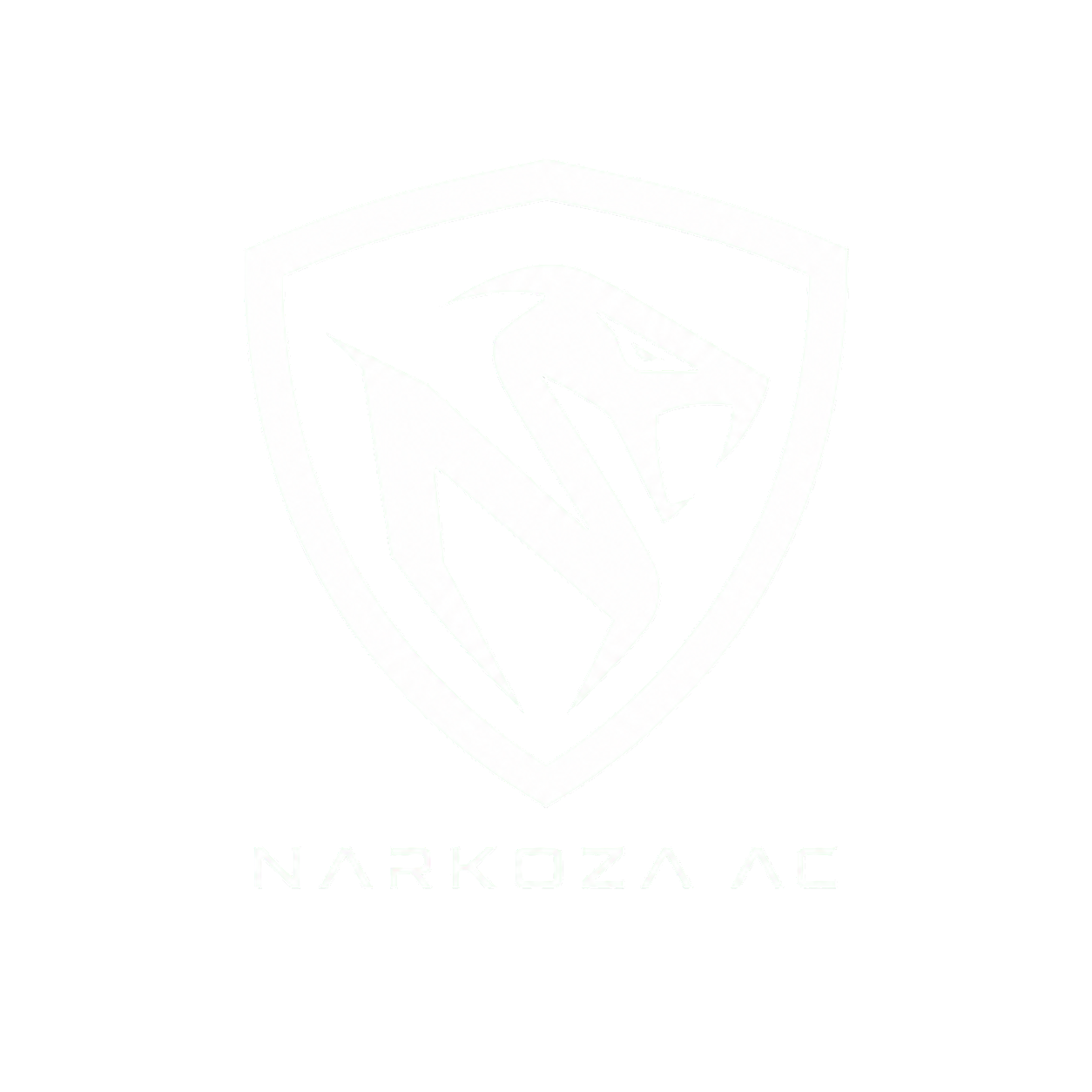 Logo Narkoza AC